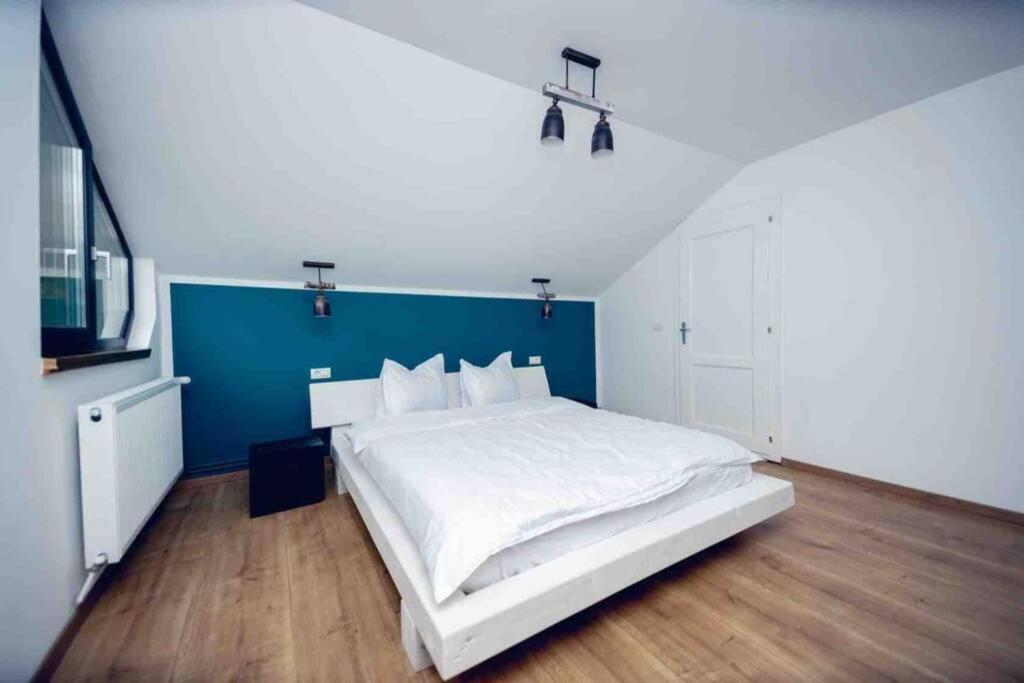 Sita Buzăului Valley House Cabana Cu Priveliste De Vis מראה חיצוני תמונה