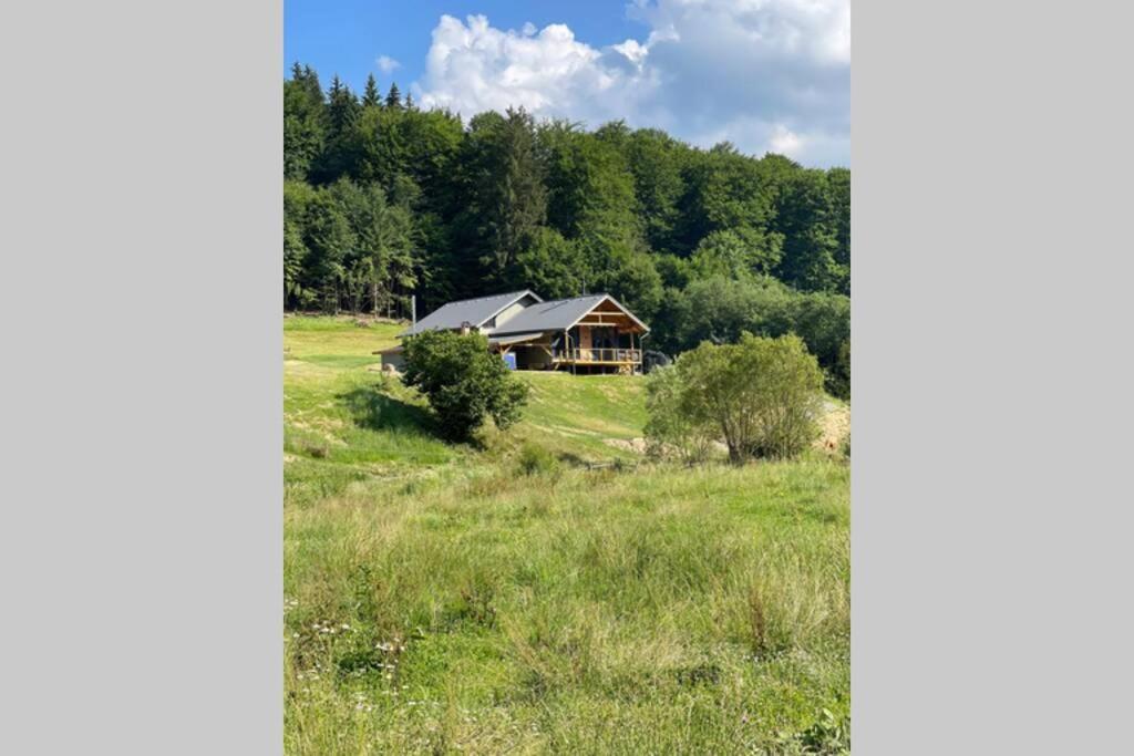 Sita Buzăului Valley House Cabana Cu Priveliste De Vis מראה חיצוני תמונה
