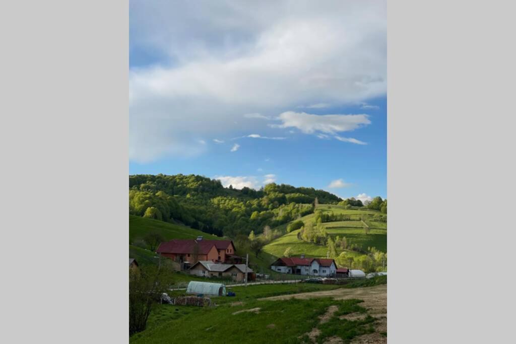Sita Buzăului Valley House Cabana Cu Priveliste De Vis מראה חיצוני תמונה