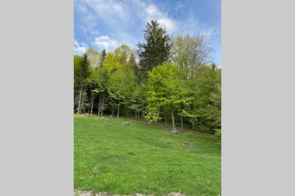 Sita Buzăului Valley House Cabana Cu Priveliste De Vis מראה חיצוני תמונה