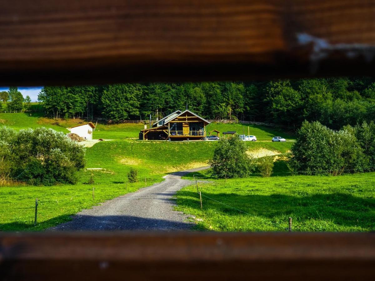Sita Buzăului Valley House Cabana Cu Priveliste De Vis מראה חיצוני תמונה